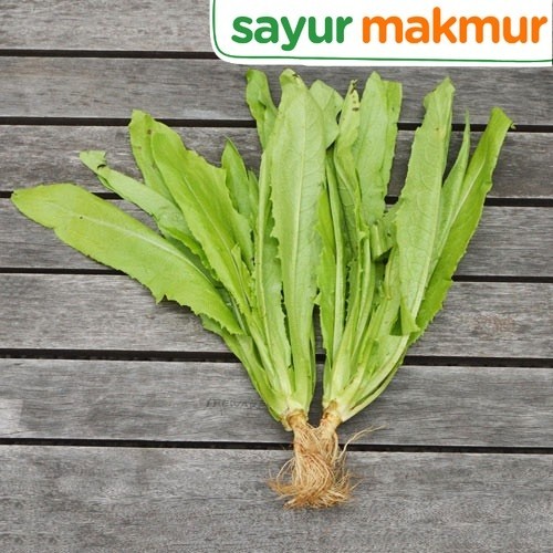 

Siomak Konvensional 250 gram Sayurmakmur