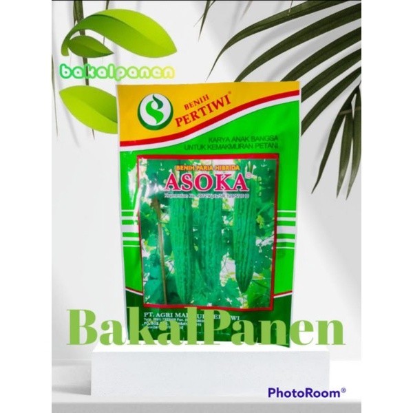 benih bibit paria pare ASOKA PERTIWI berat 10 gram