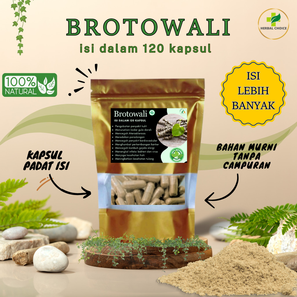 Kapsul BROTOWALI Isi 120 Obat Herbal Alami Alergi Gatal Gatal Detoksifikasi