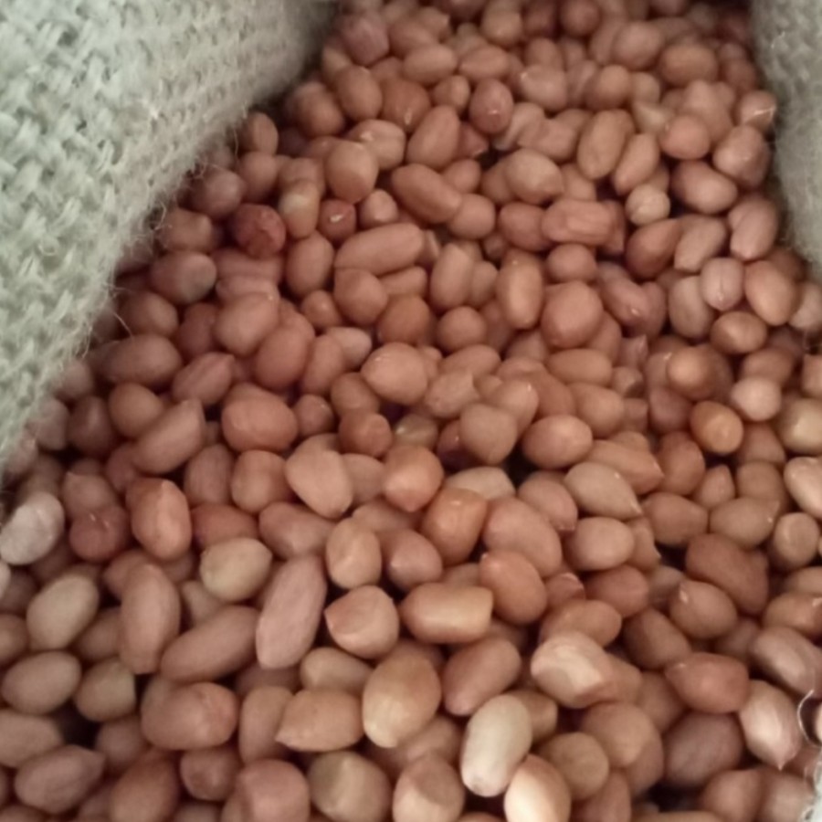 

kacang tanah 250gr
