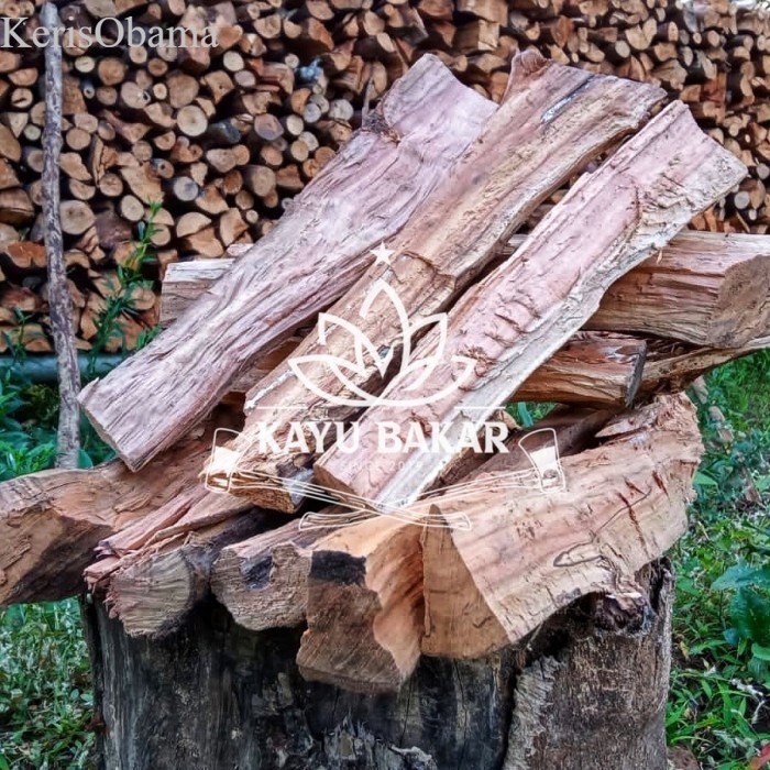 

Kayu bakar apel - Apple fire wood murah