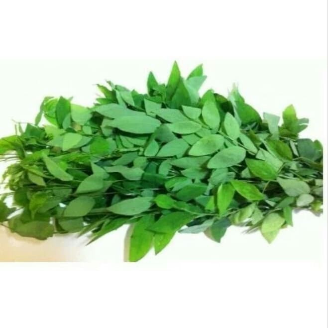 

daun katuk fresh 200 grm Arya cs