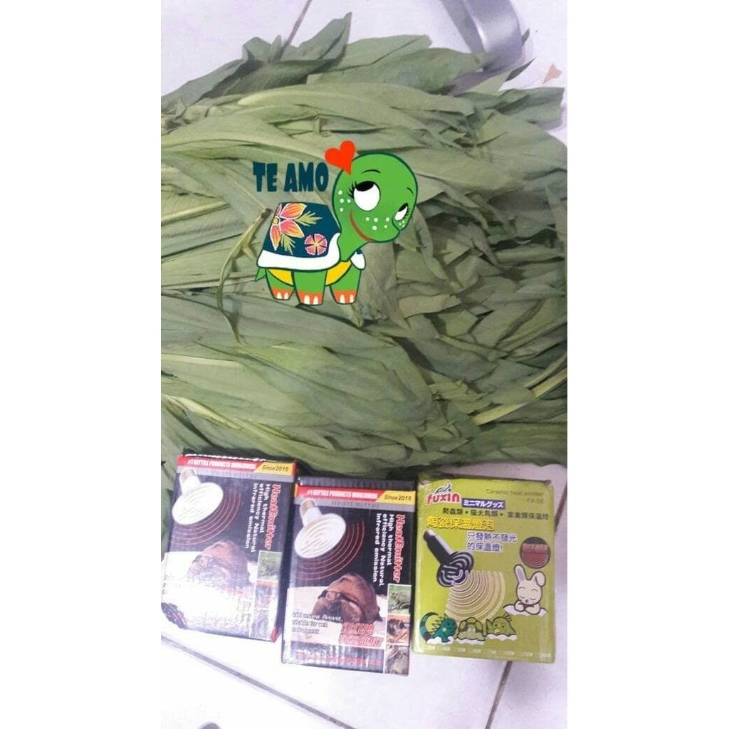

SAYUR FUMAK pakan Tortoise Iguana 10kg - 5kg