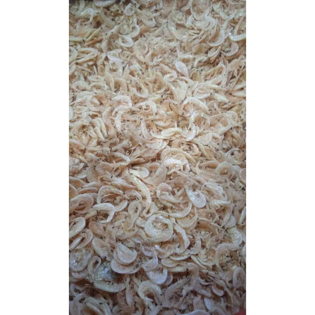 

Udang Rebon