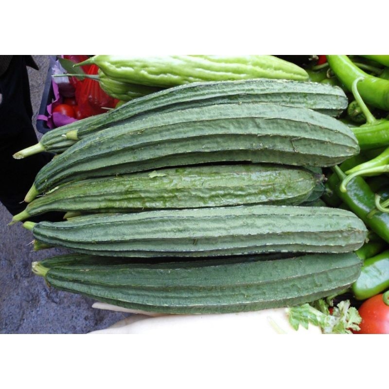

Oyong 500gr