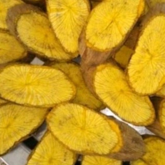 New Promo 1 kg Akar Bajakah Kuning Kering Siap Seduh Original COD Silahkan diorder