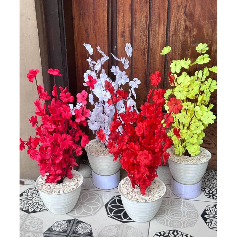Bunga Sakura Rimbun + Pot 12 ( Tinggi 38cm )