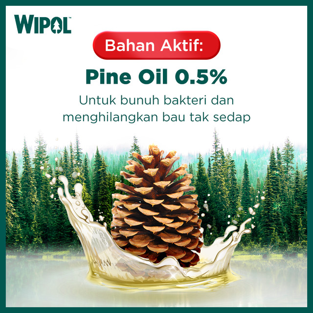 Wipol Pembersih Lantai Cairan Disinfektan Teruji Dermatologis Karbol Cemara 1500 mL x 6