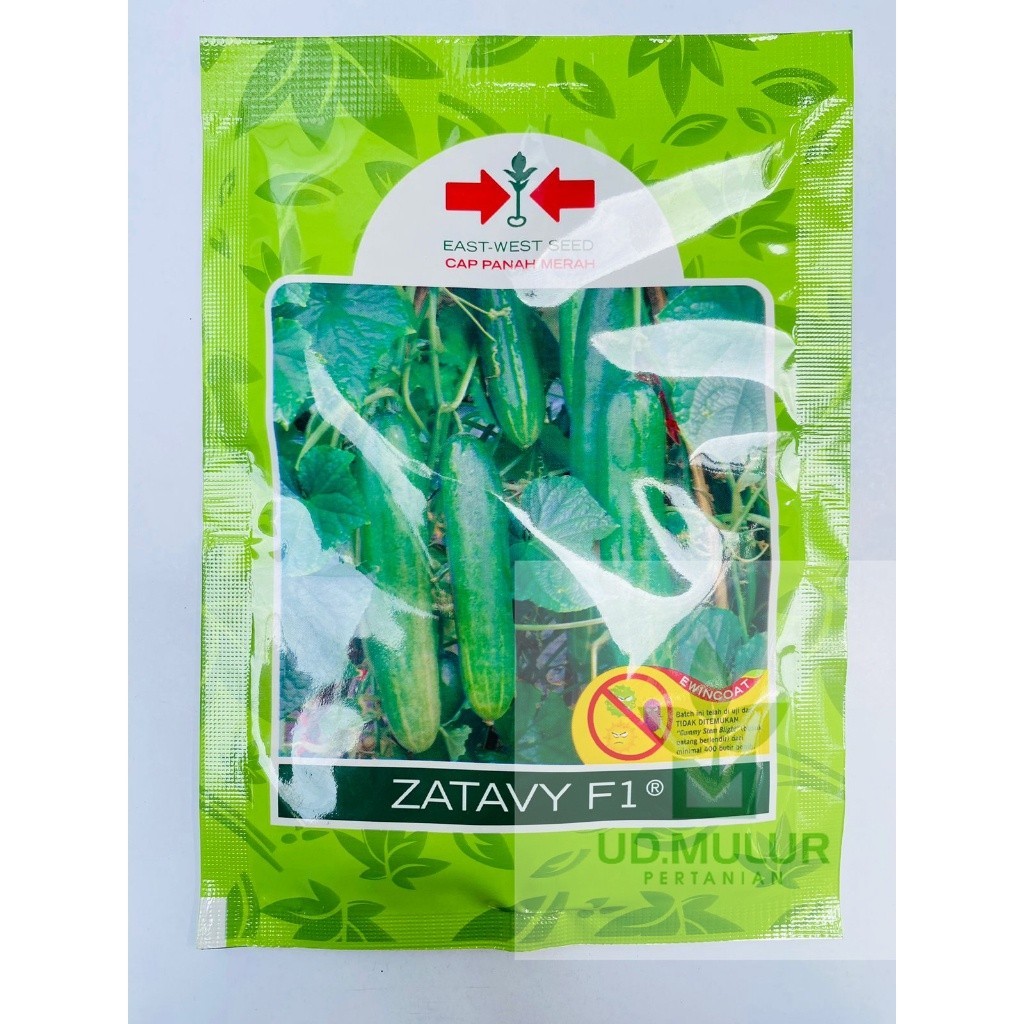 Benih Timun Mentimun Ketimun ZATAVY F1 isi 800 biji #MLR