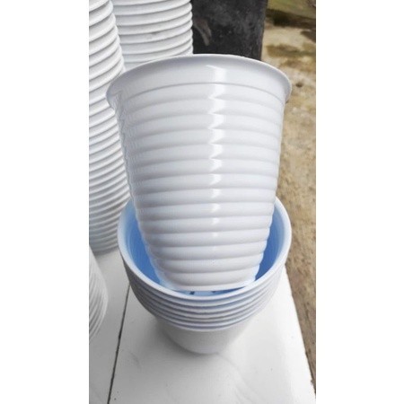 pot SA kumbang tirus 10 warna putih