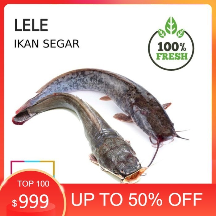 

IKAN BANDENG [500g] FRESH - Lele
