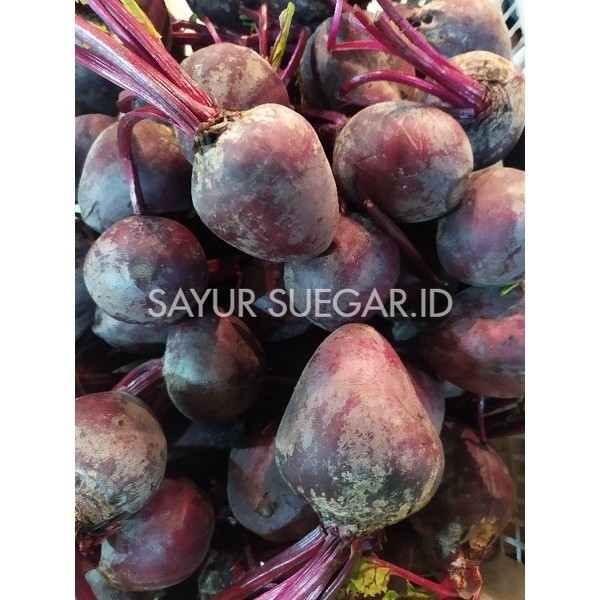 

buah bit 1 kg