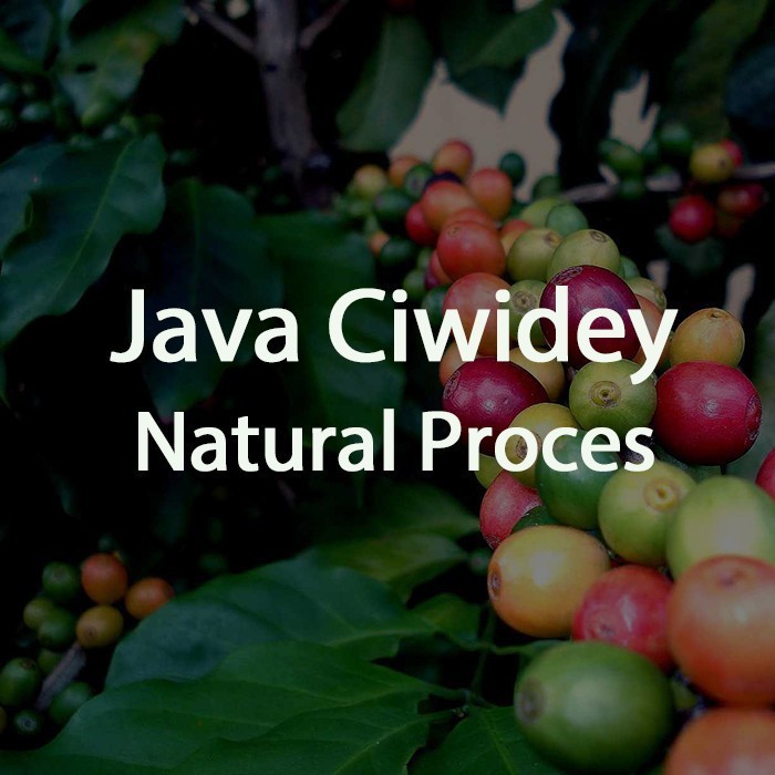 

Green Bean Kopi Arabica Java Ciwidey Natural - 1 Kg Otten Coffee