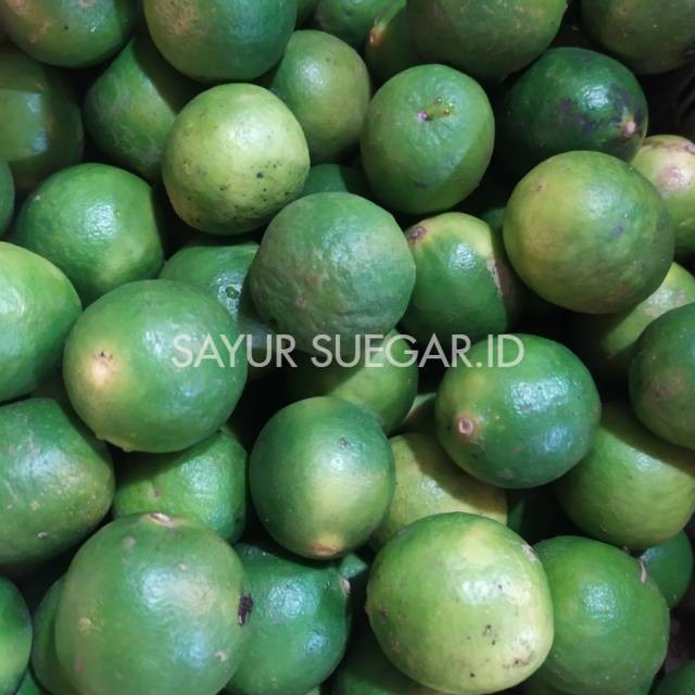 

Jeruk nipis/250 gram