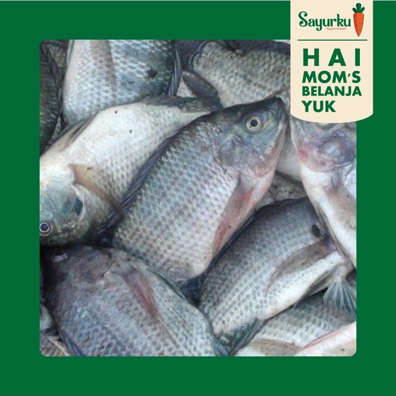 

Ikan Nila 500gr