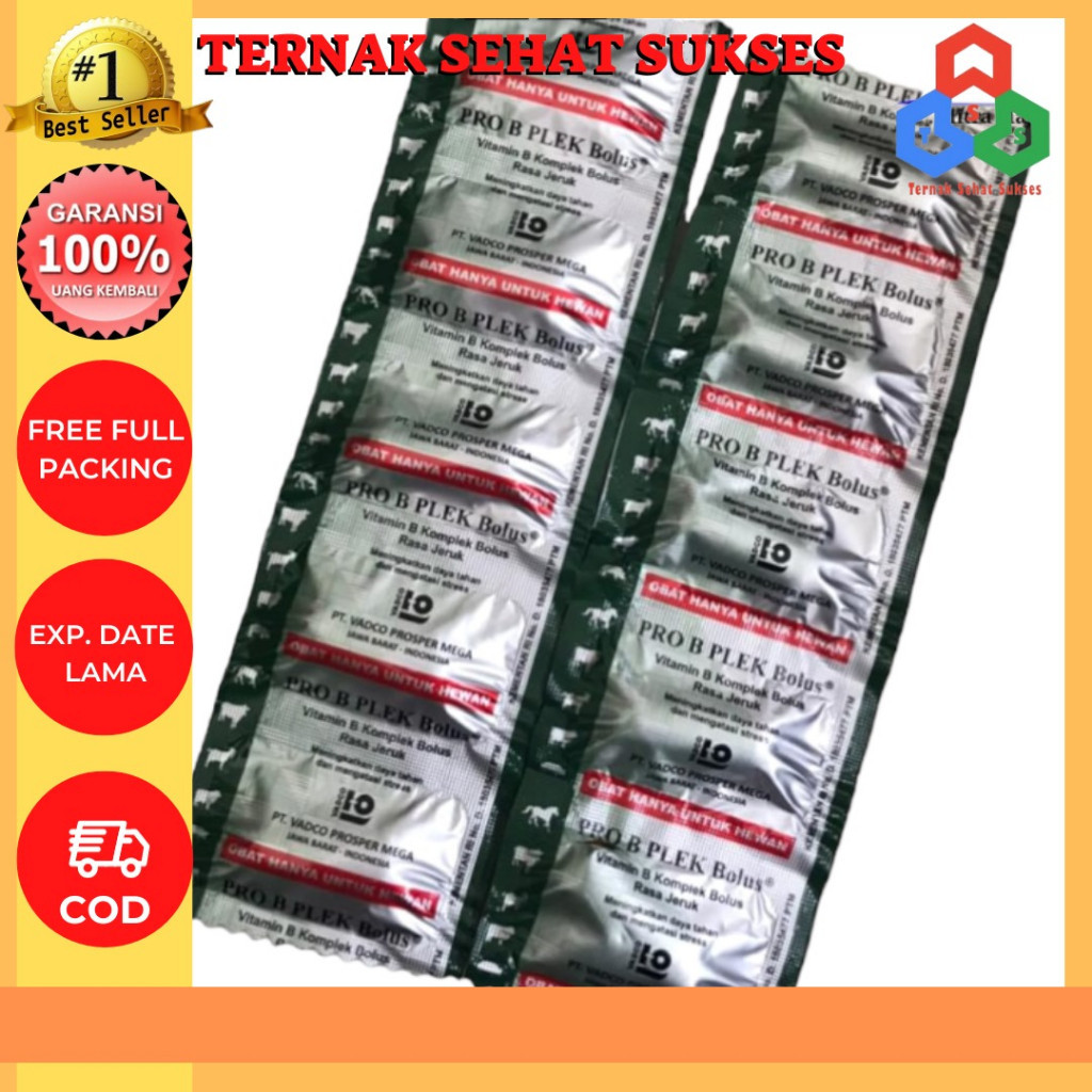 PRO B PLEK 1 Bolus / VITAMIN B KOMPLEK TSS1