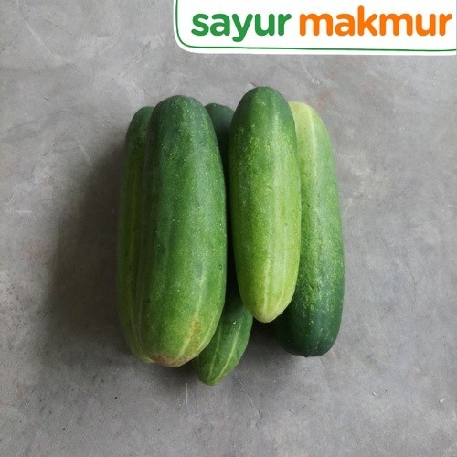 

Timun Baby Konvensional 500 gram Sayurmakmur