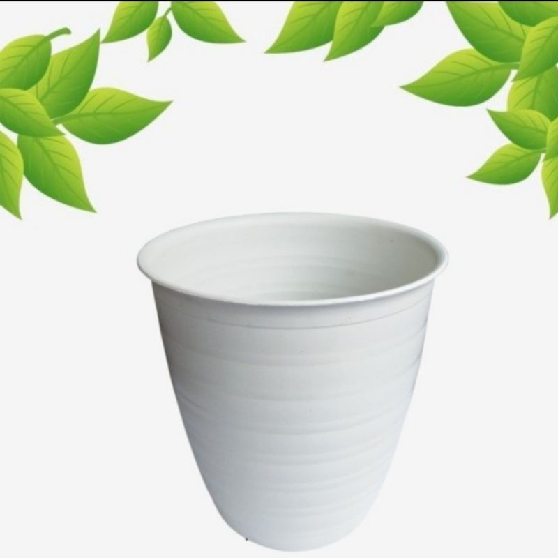 pot kumbang tirus SA 10 cm