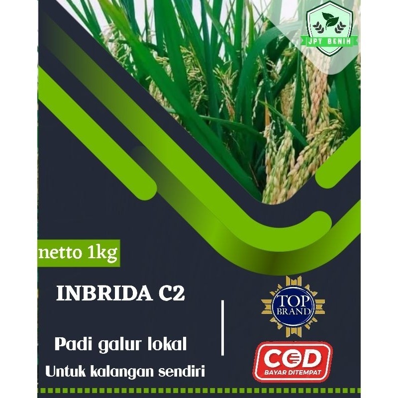 benih padi inbrida c2 kemasan 1kg