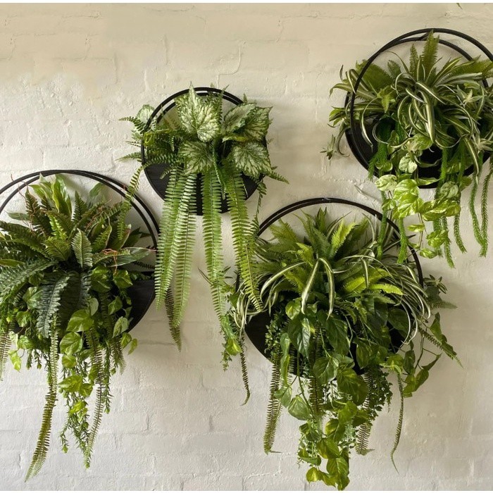 Wall Planter Half Moon Rak Besi Tanaman Dinding Dekorasi Hiasan Rumah - Diameter 20cm