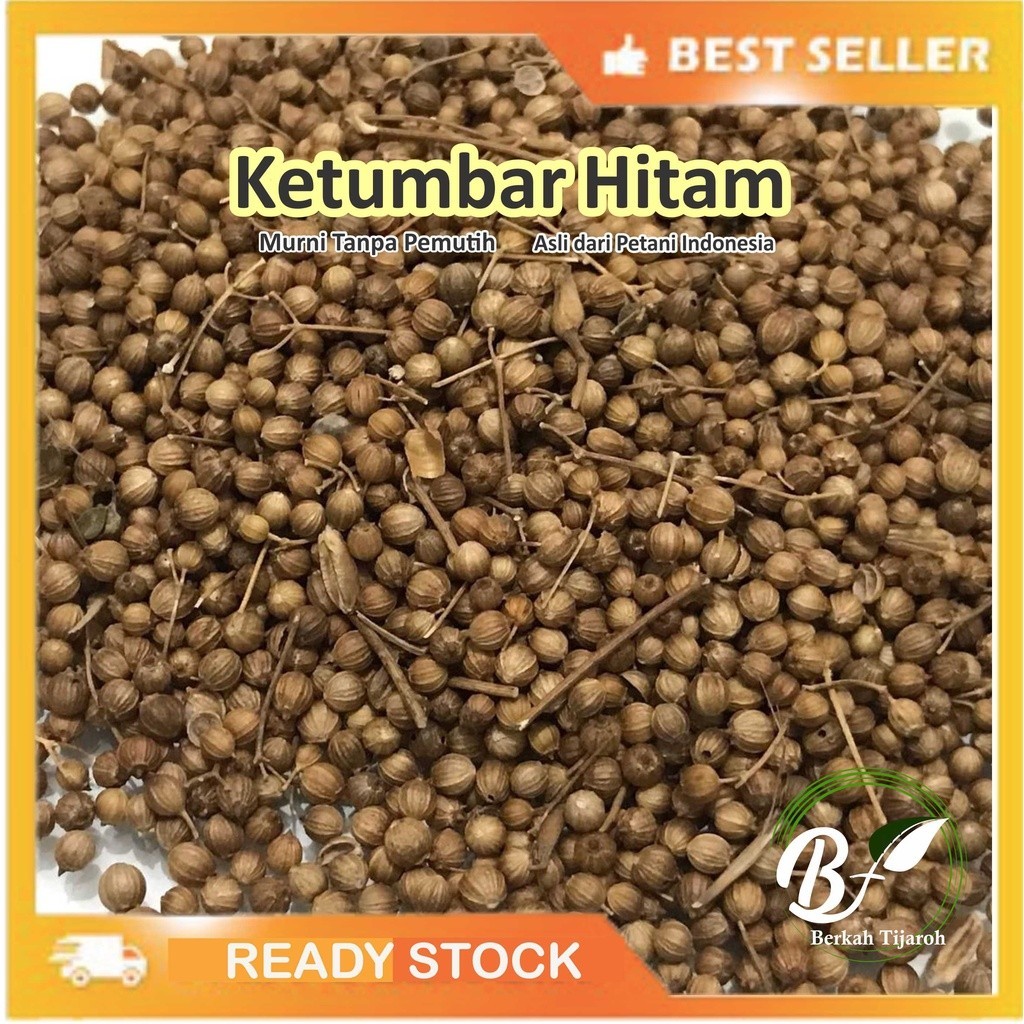 

Ketumbar Hitam / Teh Ketumbar Hitam Alami Atasi Darah Tinggi Jantung Stroke