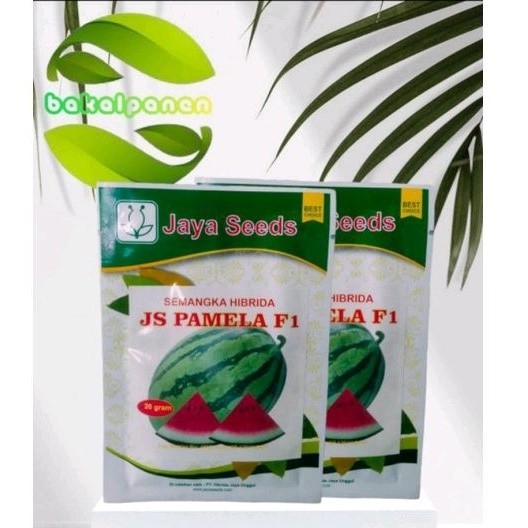 Benih Bibit Semangka JS Pamela 20gr