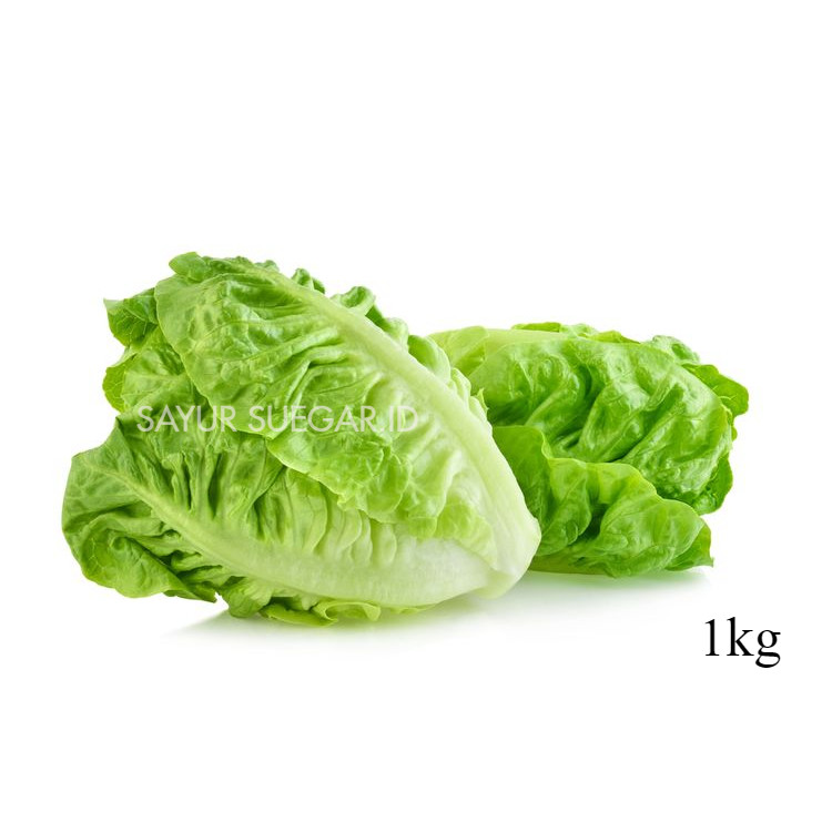 

lettuce romaine 1 kg