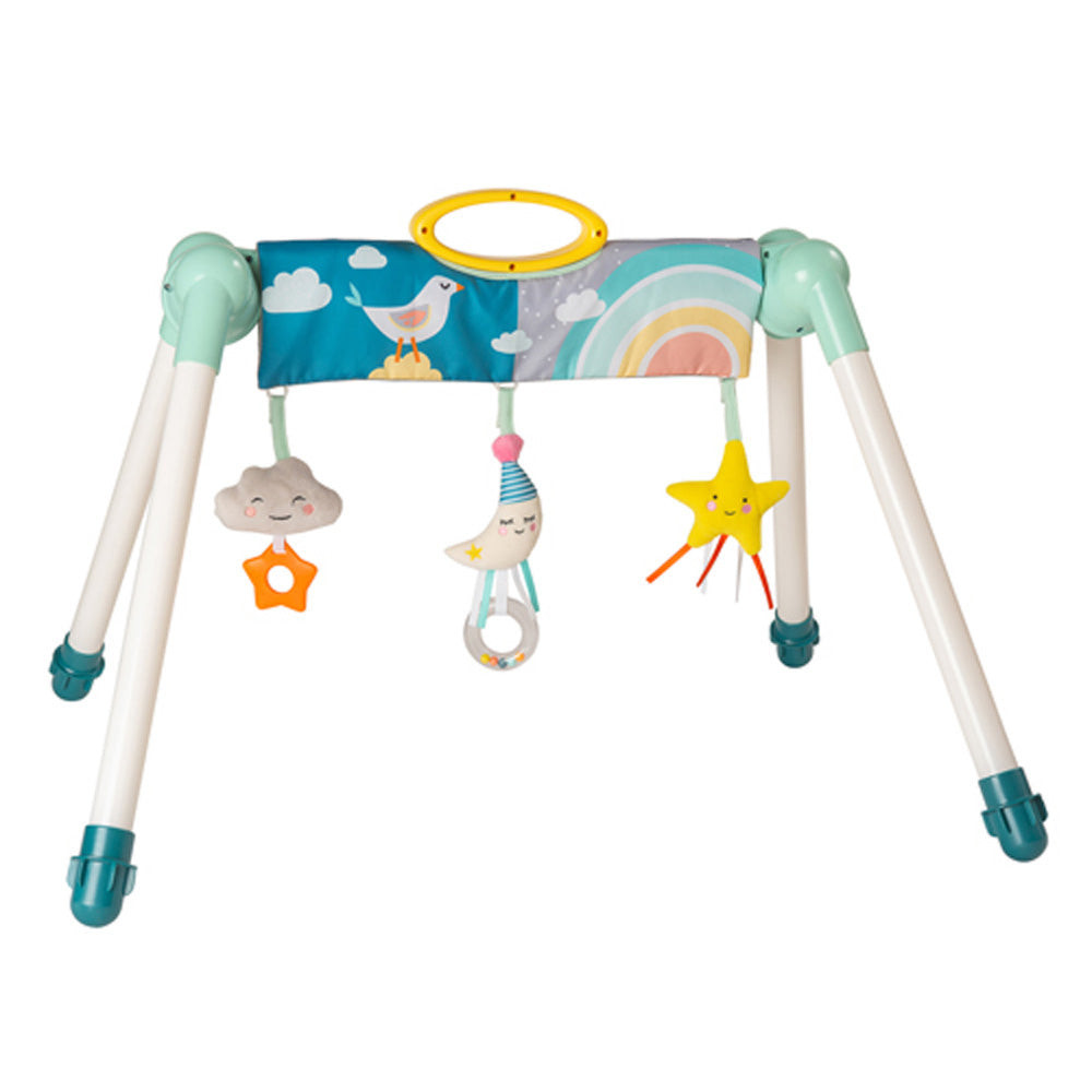 Taf Toys Mini Moon Take To Play Gym