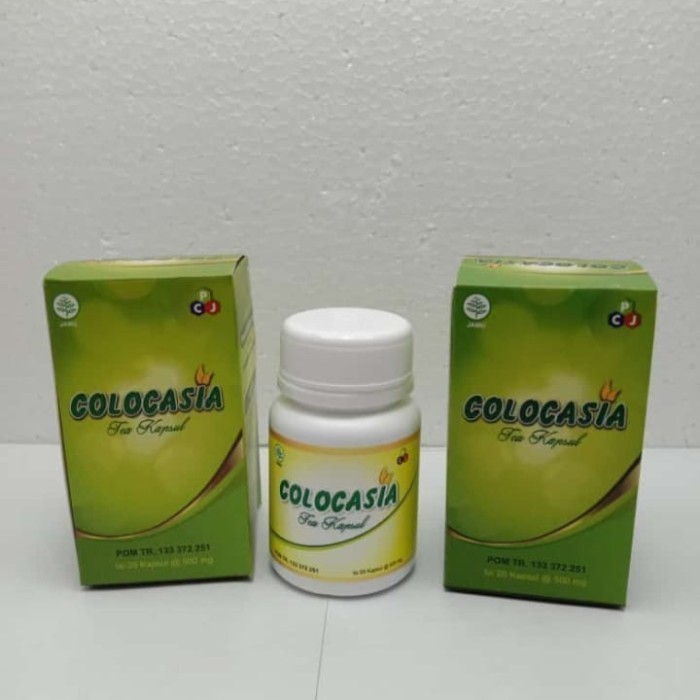 Colocasia Tea Penambah Cairan Lutut Obat Tulang & Sendi Original