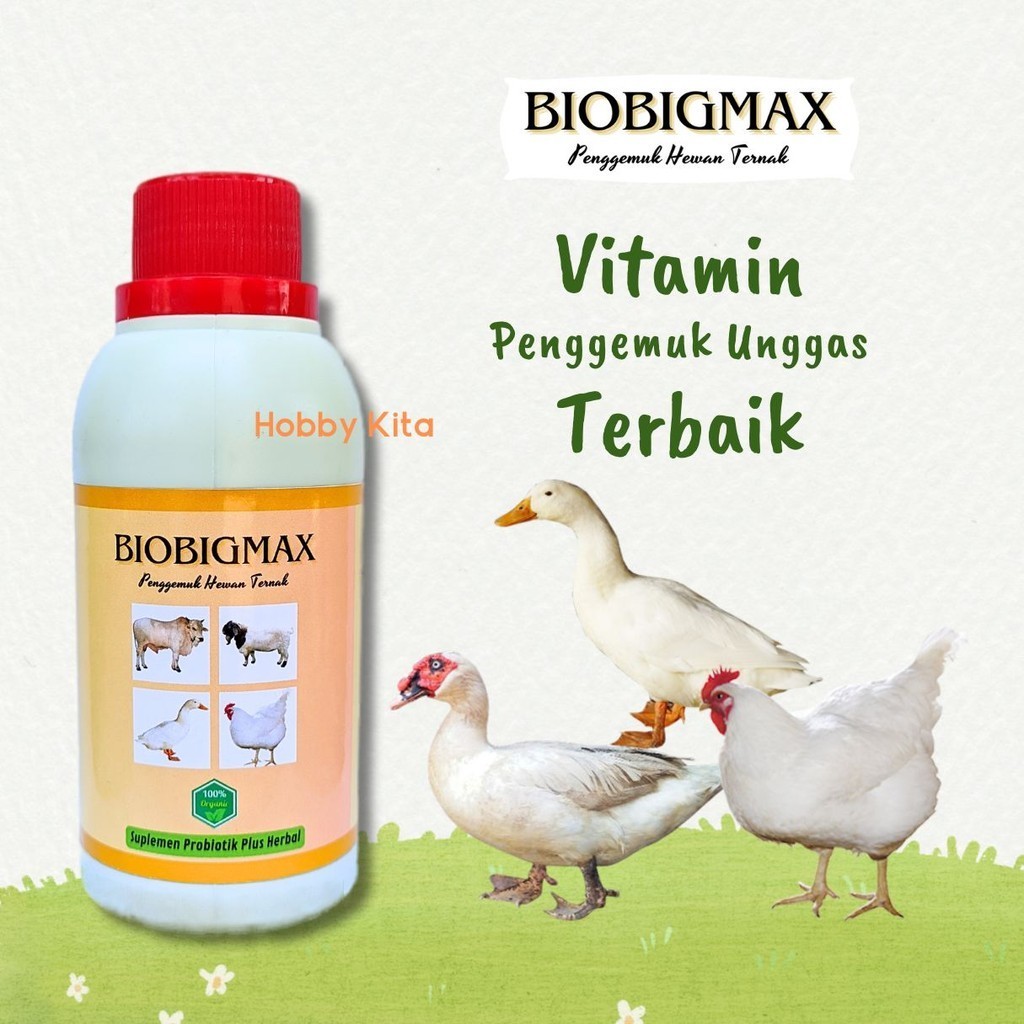Vitamin Ayam Penggemuk Entok Jumbo BIOBIGMAX Vitamin Ternak Bebek Entok Ayam Kampung Broiler Bangkok