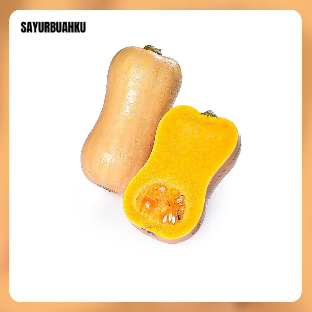 

Butternut Pumpkin Organik /pcs HUTANG BELUM BAYAR DITUNGGU PELUNASANNYA BALAS CH4T SOPI