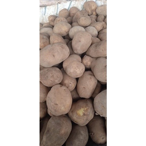 

Kentang kuning 1kg