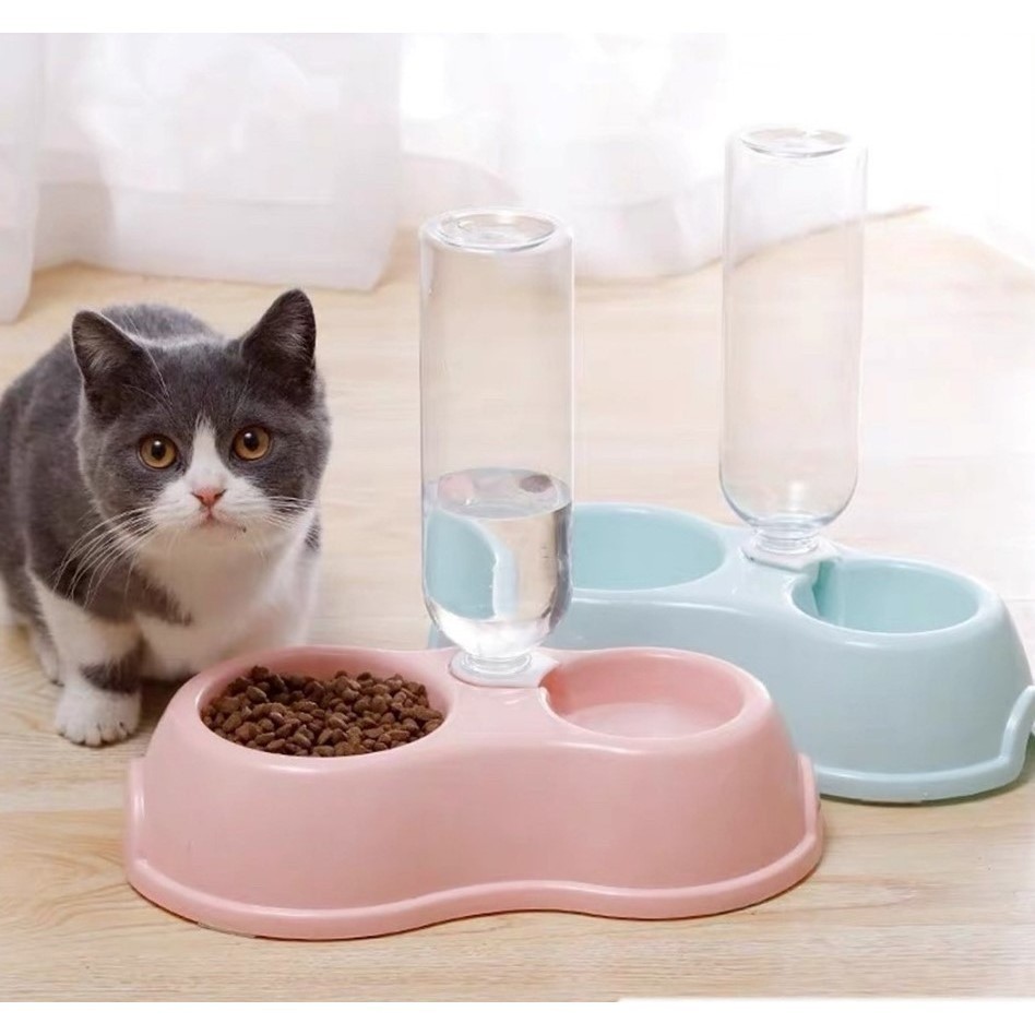 Tempat makan anjing - Tempat makan kucing - Tempat makan dan minum kucing