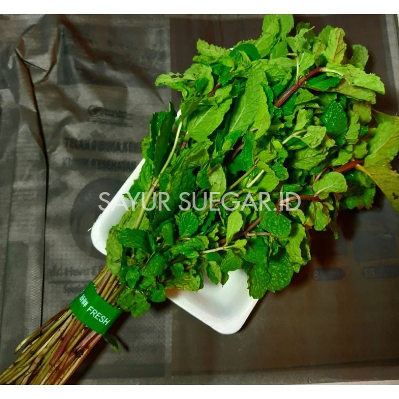 

Daun mint 250 gram
