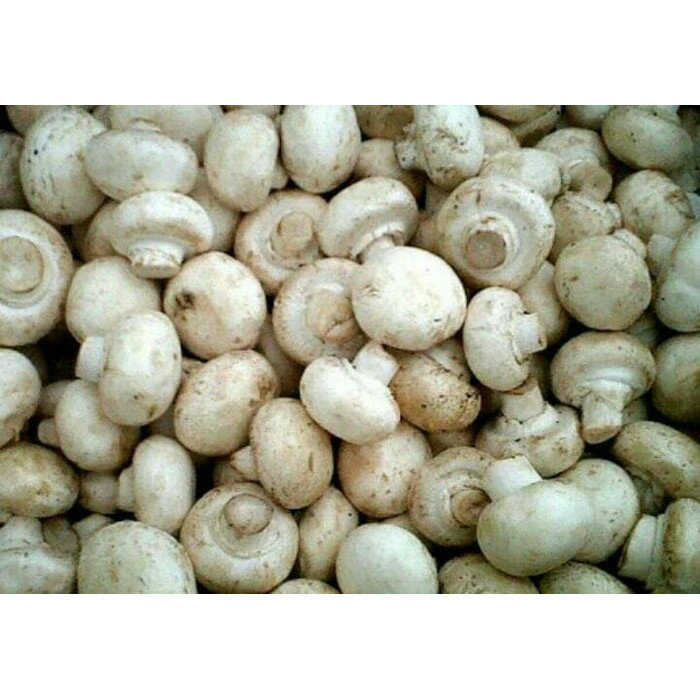 

Jamur Champignon /Jamur Kancing Fresh Khusus Luar Jabodetabek