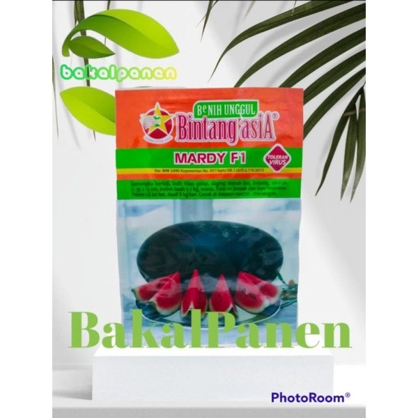 benih semangka inul MARDY 20gram Bintang Asia