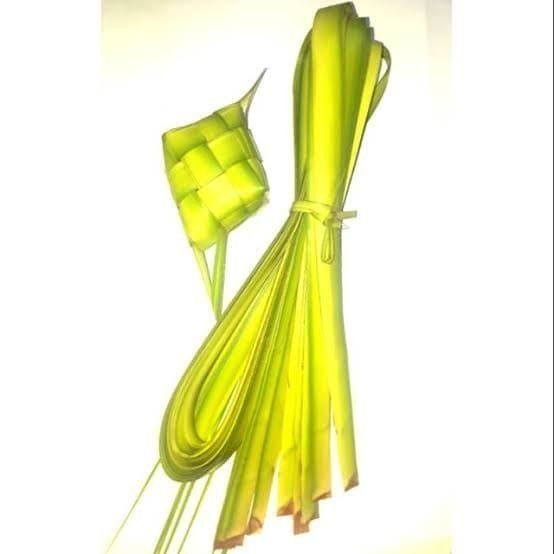 

Janur Kelapa Kuning 100 Batang / 200 Lembar Daun Kelapa Muda