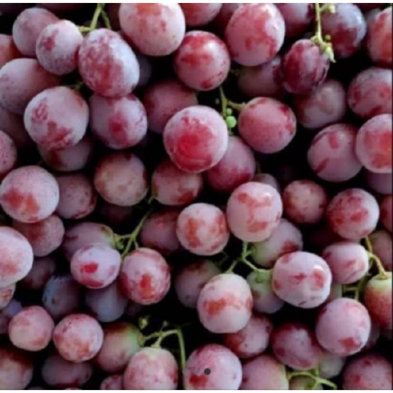 

Anggur Red Globe 250 gram 1kg