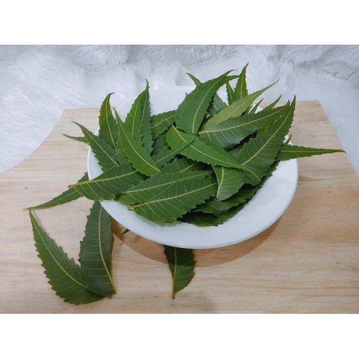 

Daun Mimba Fresh Hijau 100 Gram Obat Alami Herbal Organik Tanpa Kimia