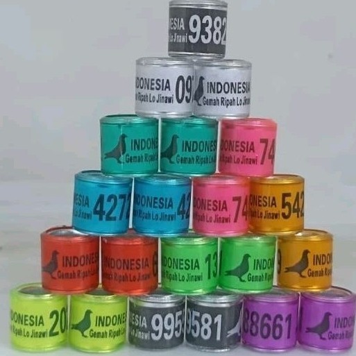 RING BURUNG MERPATI INDONESIA MPOS KOLONG KENTONG BALAP PMTI SUDAH TERCETAK NAMA