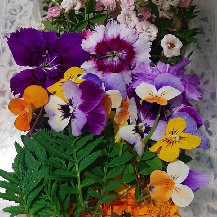 

Edible Flowers