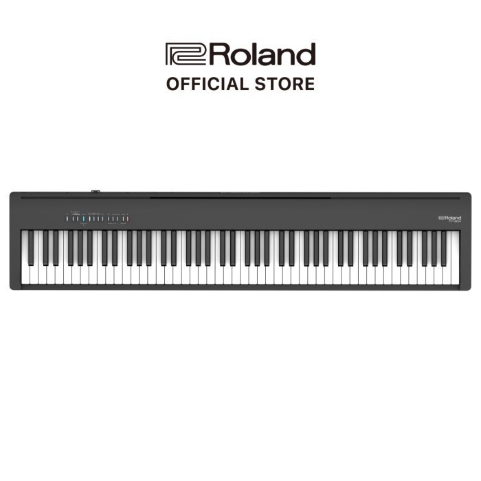 PROMO SPESIAL HOT PROMO Roland FP-30X Digital Portable Piano