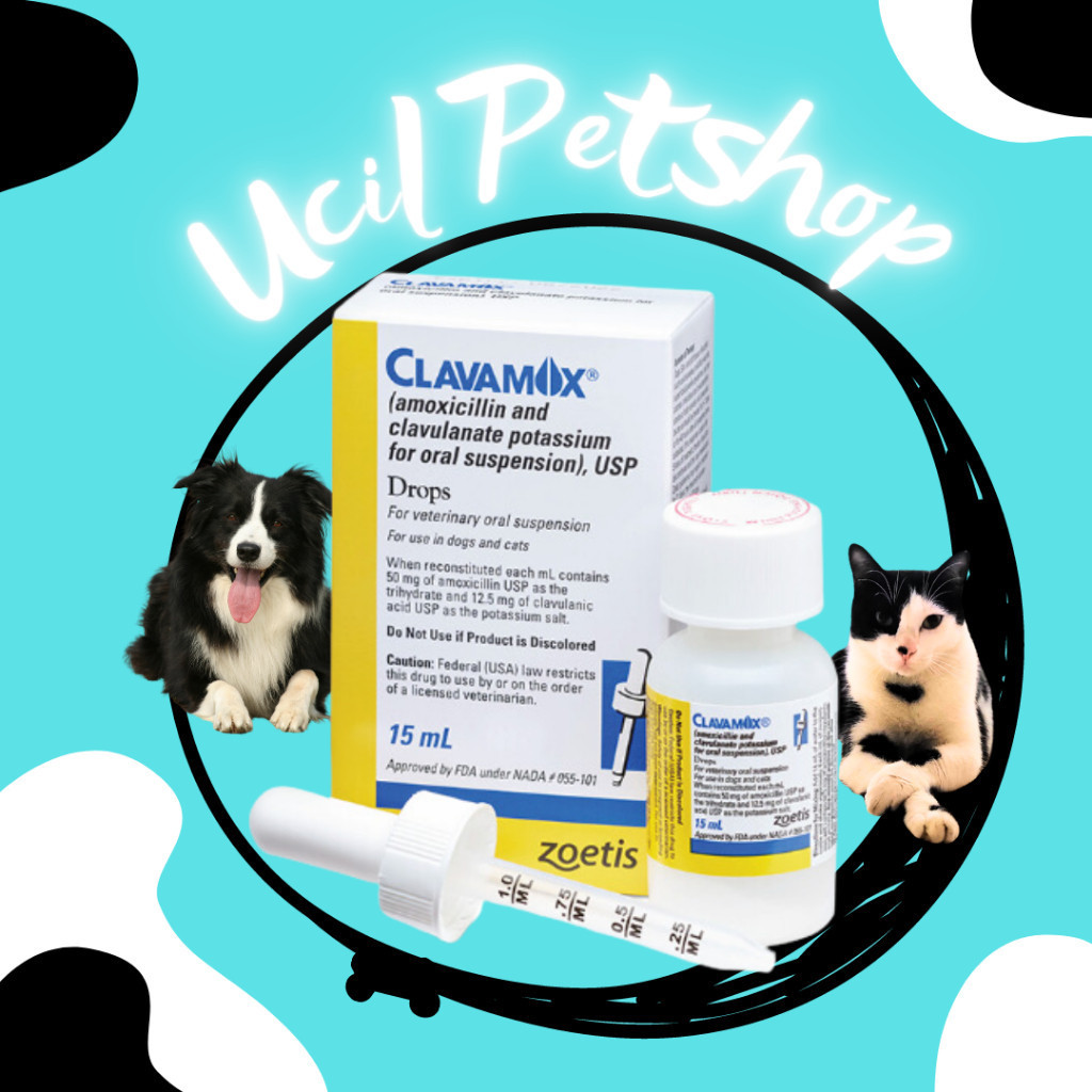 Clavamox Drops 15ml Antibiotik Kucing Anjing 15ml