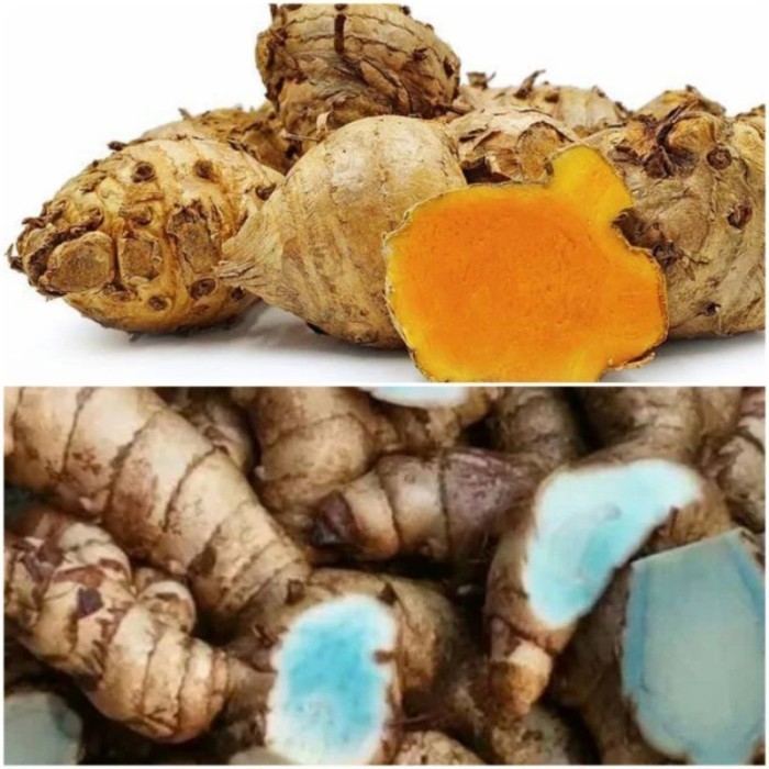 

Temulawak Segar / Temu Ireng Segar - Temu Ireng