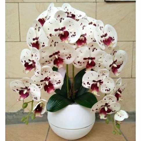 Rangkaian anggrek Putih latex Premium 2 tangkai pot plastik bunga meja