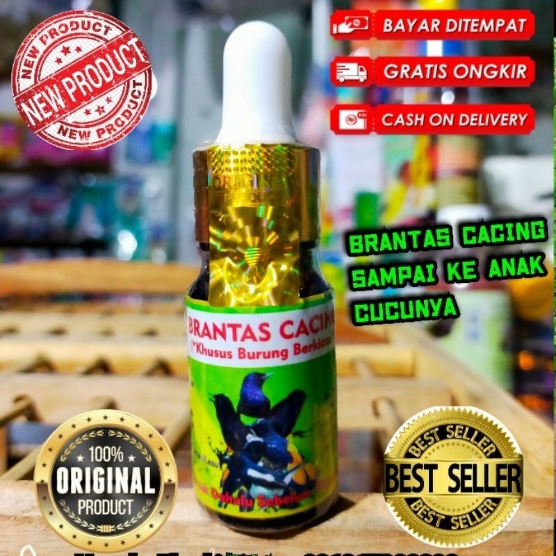 obat burung cacingan khusus untuk murai