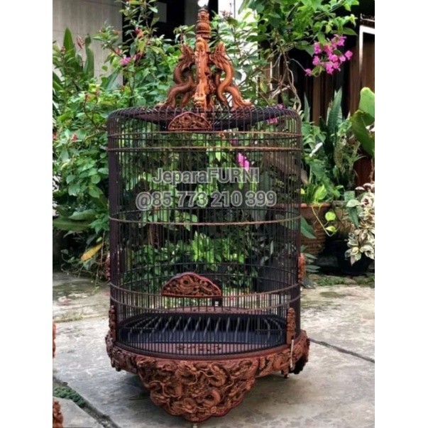 Sangkar Burung murai Sangkar Ukir Jepara Sangkar Kontes Sangkar Lomba