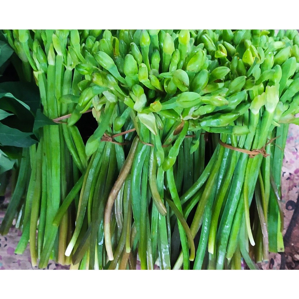 

Daun Genjer per ikat Sayur Hijau Daun genjer Segar Untuk Tumisan
