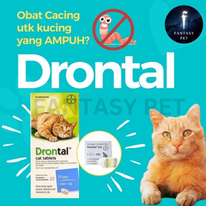 DRONTAL CAT ORIGINAL THAILAND obat cacing untuk kucing 1 tablet