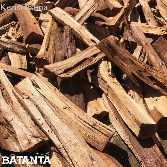 

Kayu bakar apel jawa/jambu air - Rose apple/Java apple fire wood murah